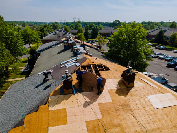 Trusted Flat Roof Repair service in Jesse, WV - Brentwood Metal Roofing
